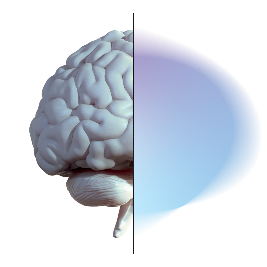 Graphic of half a brain with a blue and purple gradient making up the other half